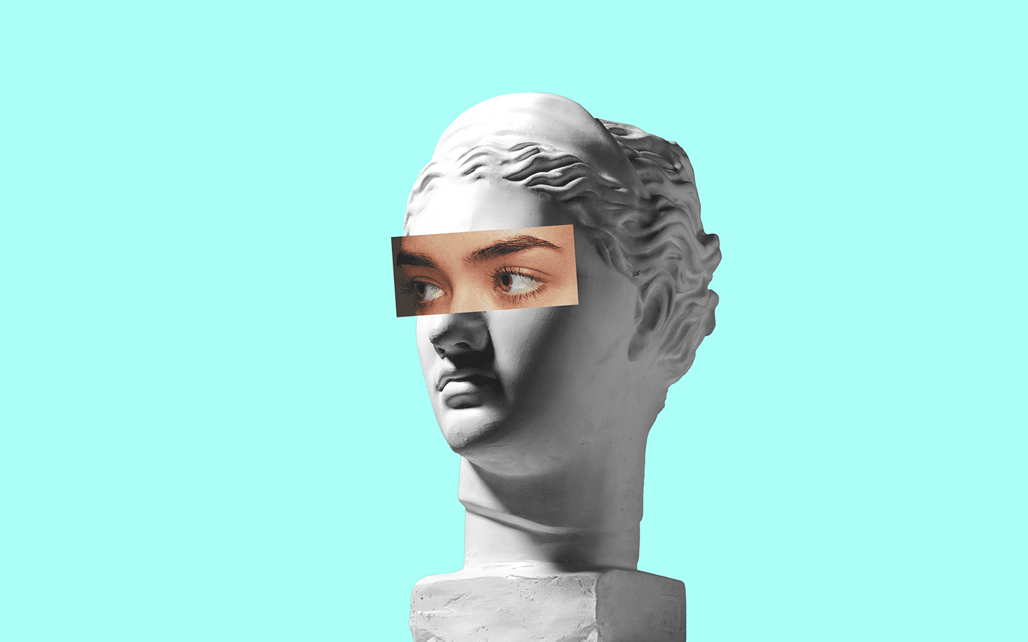 UNDERSTANDING WEB AND COURSE AUTHORING SOFTWARE